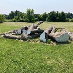 Meet your Posher, Chase